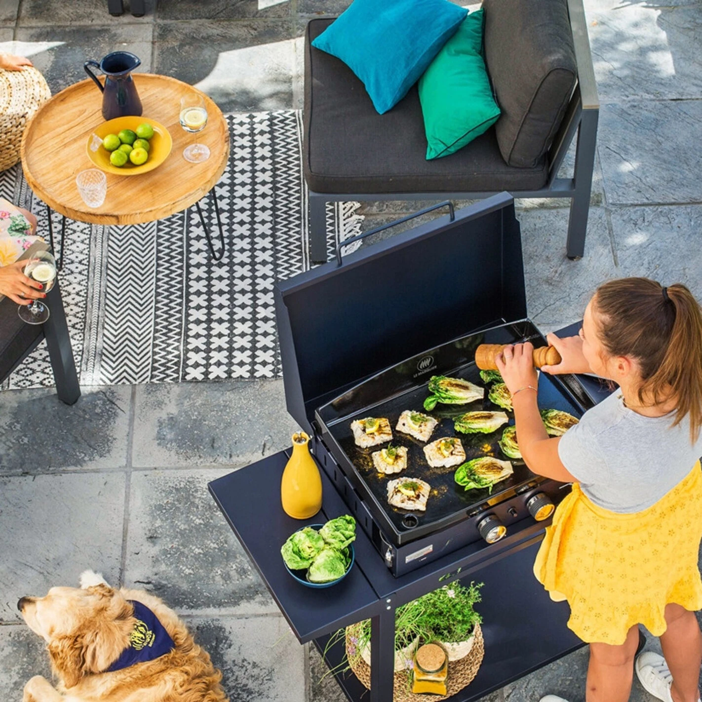 Combo Plancha Gaz Adela Bleu 260 Chariot + Capot - Le Marquier 3 Combo Plancha Gaz Adela Bleu 260 Chariot + Capot - Le Marquier – Image 3