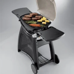 Grille De Cuisson Fonte émaillée Q300/Q3000 - Weber -Cuisine Grill Magasin grille de cuisson pour q300 barbecue a gaz weber 0077924038853 3